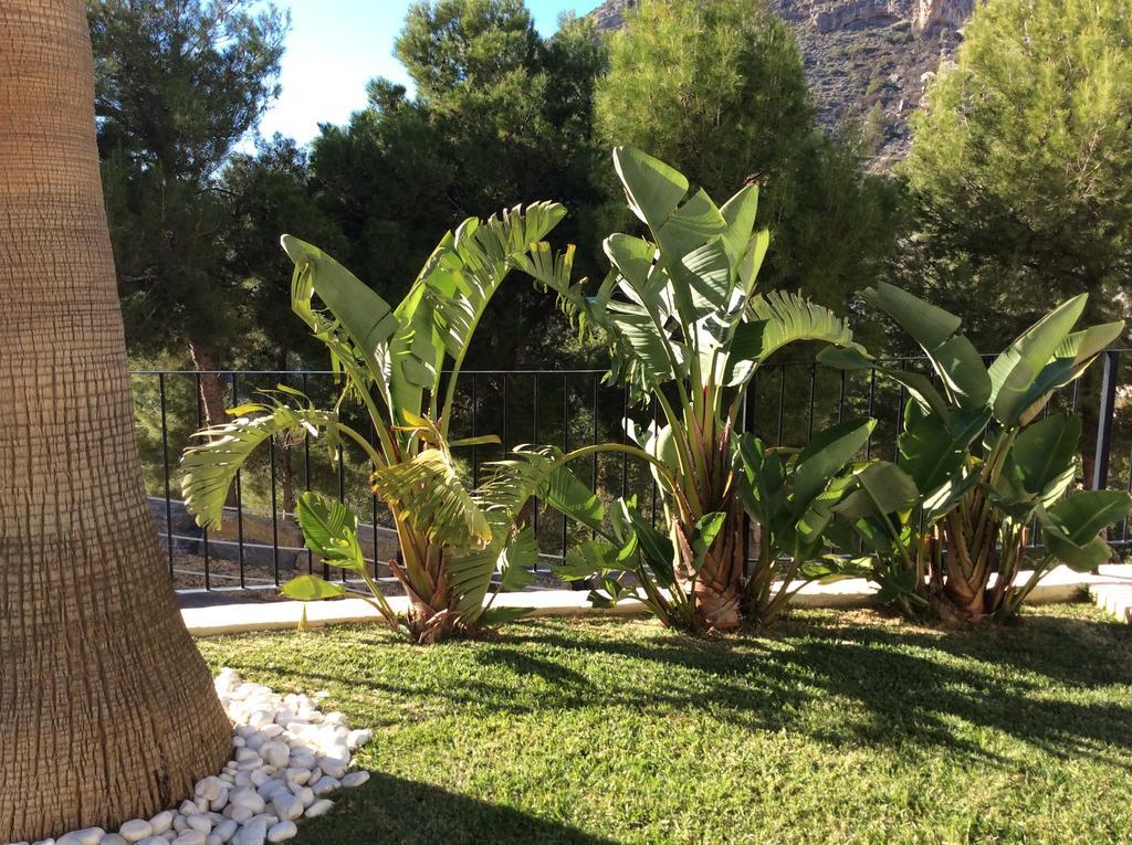 Olivos Holiday Home Altea Oda fotoğraf